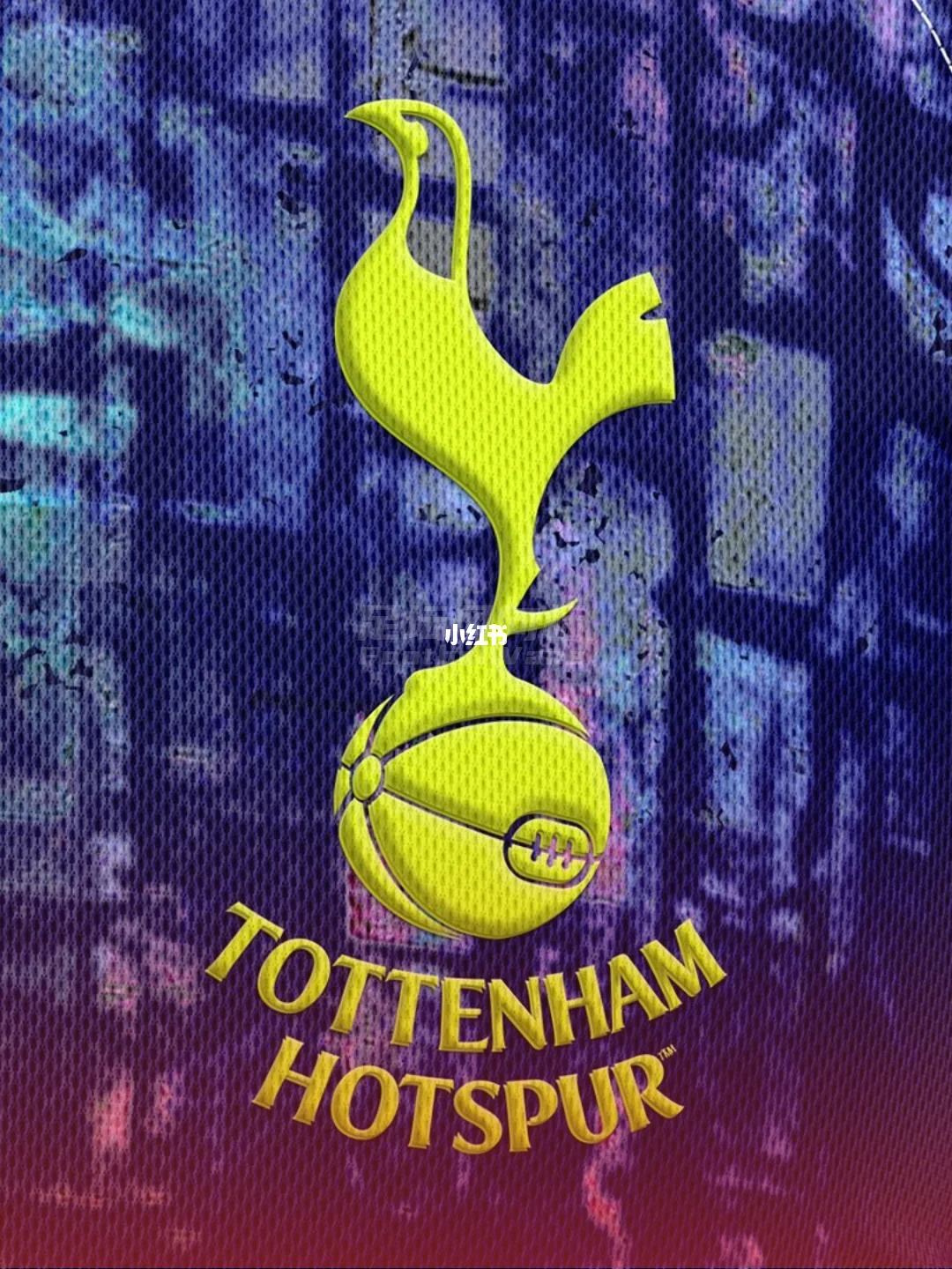 关于清晨托特纳姆调整名单以备足总杯，刷新队史纪录环节打磨，震撼外界，身体对抗强度拉满的信息-九游娱乐官方平台